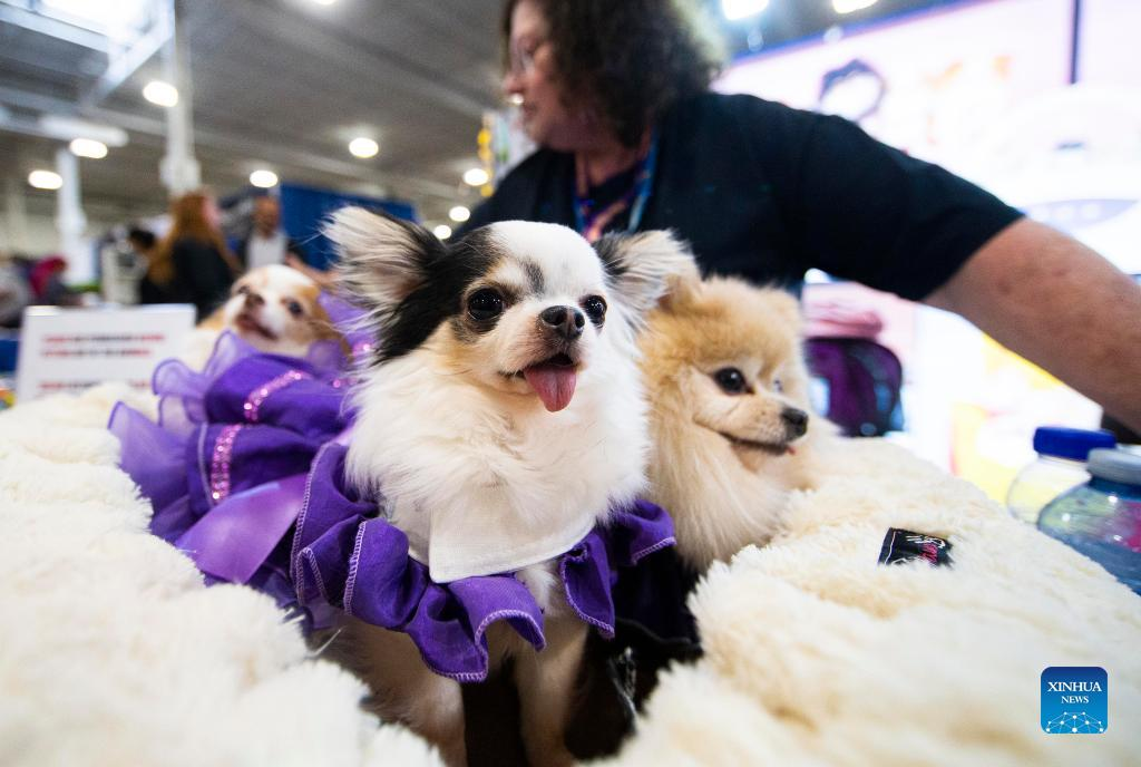 Glimpses of 2022 Spring Canadian Pet Expo