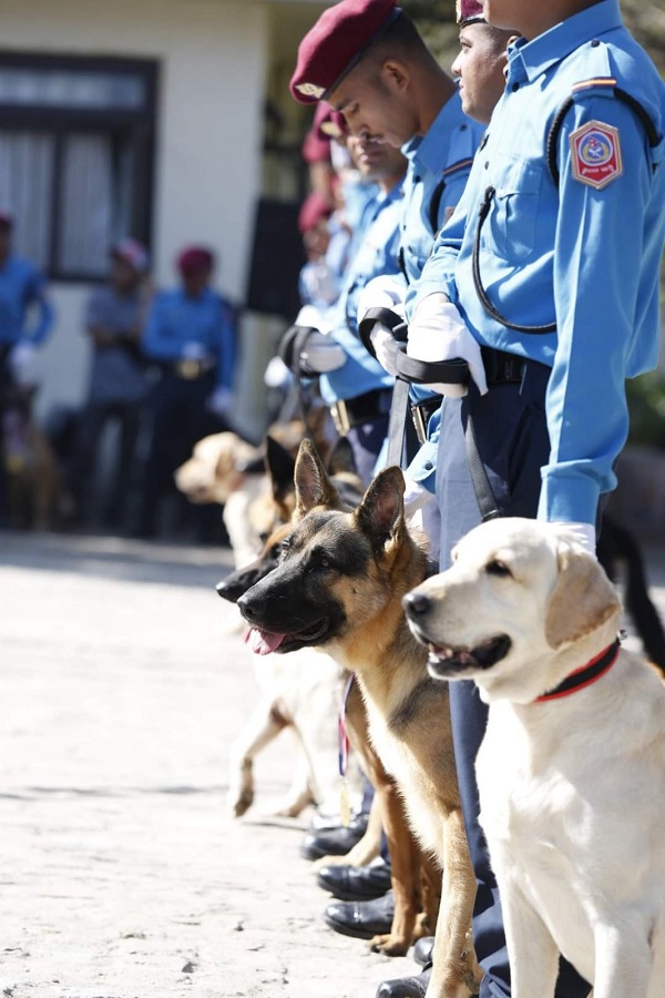 Kukur Tihar concludes at Canine Office Maharajganj