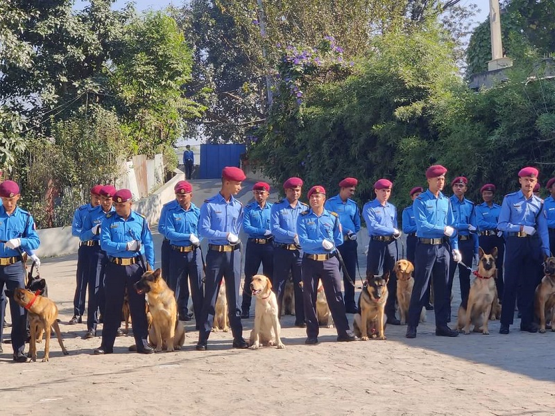 Kukur Tihar celebrations at Nepal Police Dog Training Centre