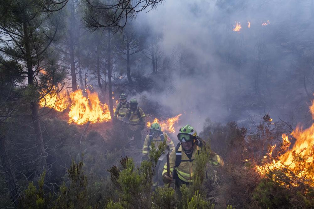 Southern Spain face ‘complex’ wildfire for 5th day