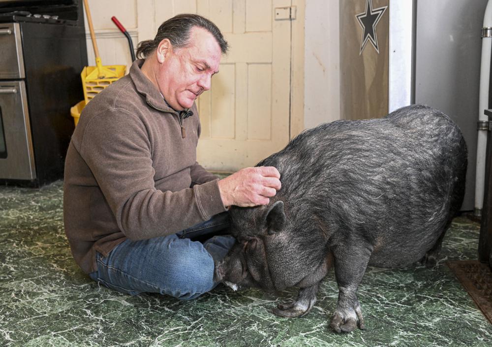 Man fights to keep his emotional support pet pig