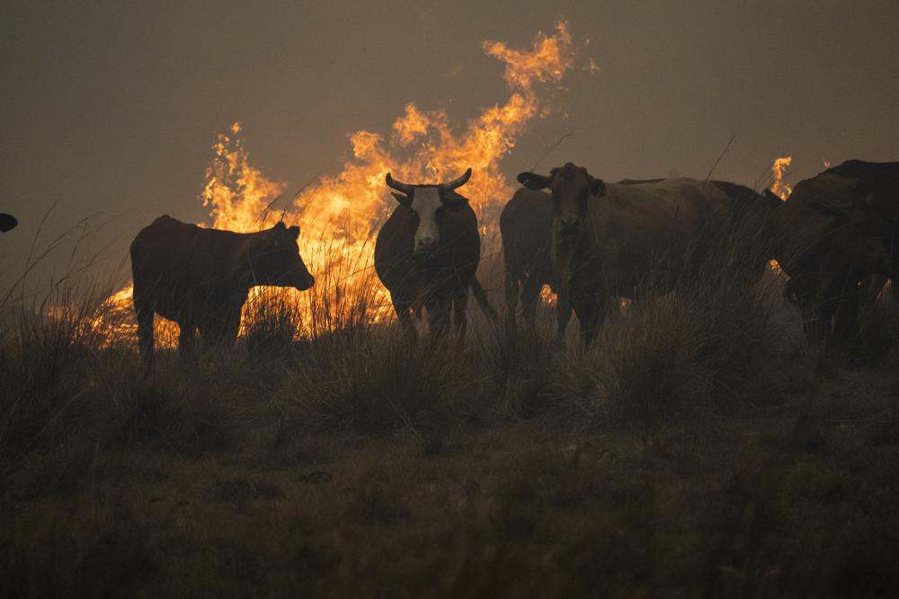 Extraordinary scenes: Fire-ravaged Argentina province