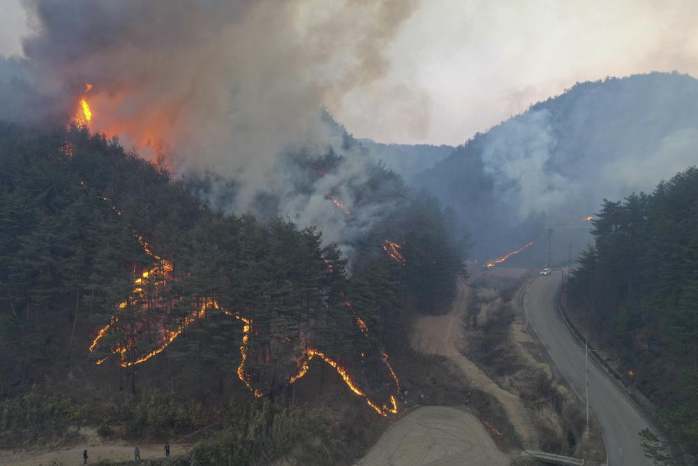 S. Korean wildfire destroys 159 homes, forces 6,200 to flee