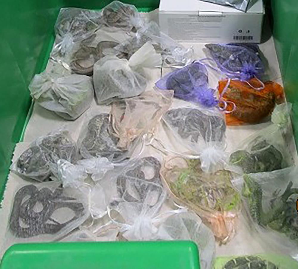 52 reptiles found hidden in man’s clothing