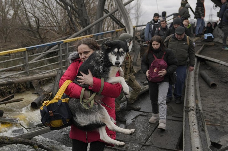 Ukrainians fleeing ‘can’t leave pets’ behind