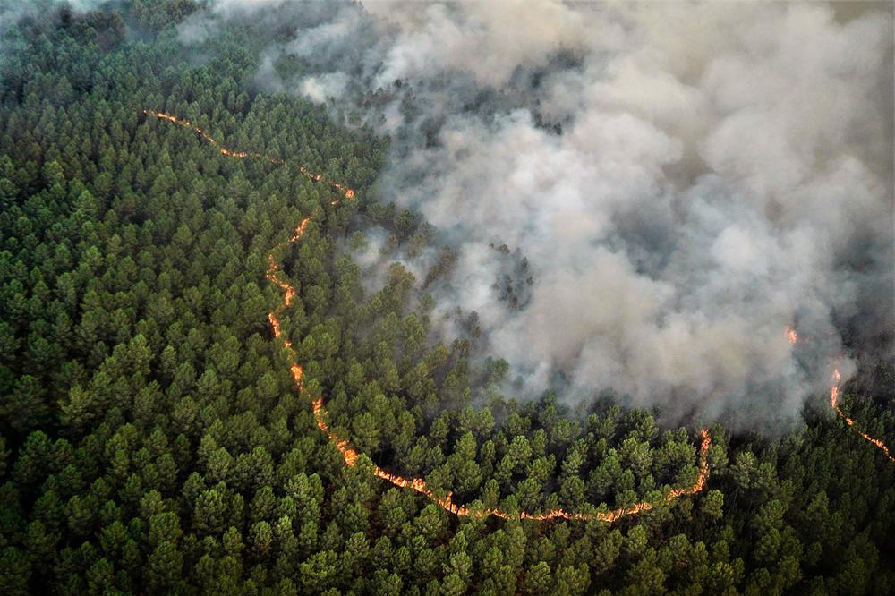 Wildfire in France stops expanding