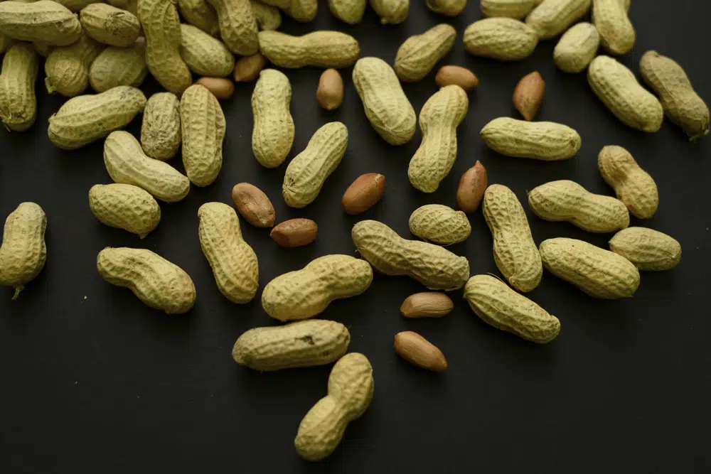 A skin patch to treat peanut allergies?