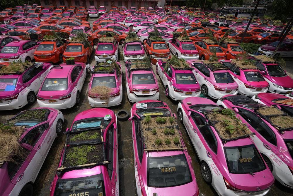 Thai taxis go green with mini-gardens on car roofs