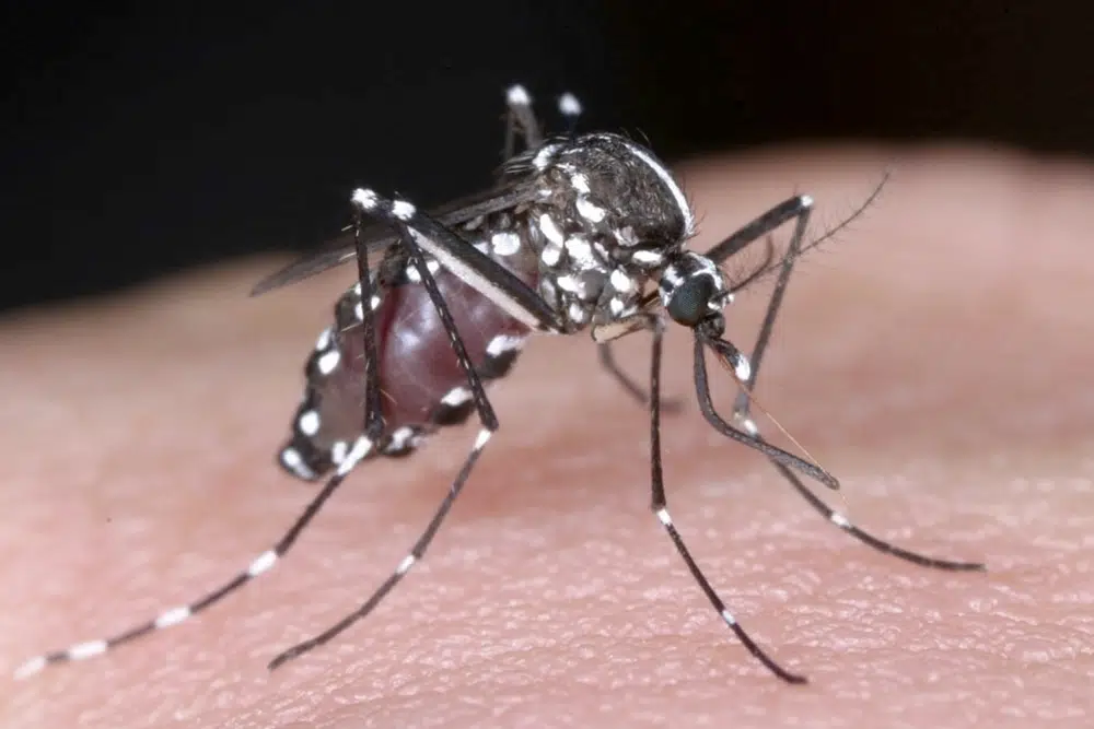 Ministry urges all to continue anti-dengue drive