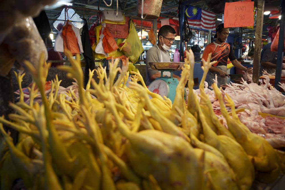 Malaysia suspends chicken exports amid rising food prices