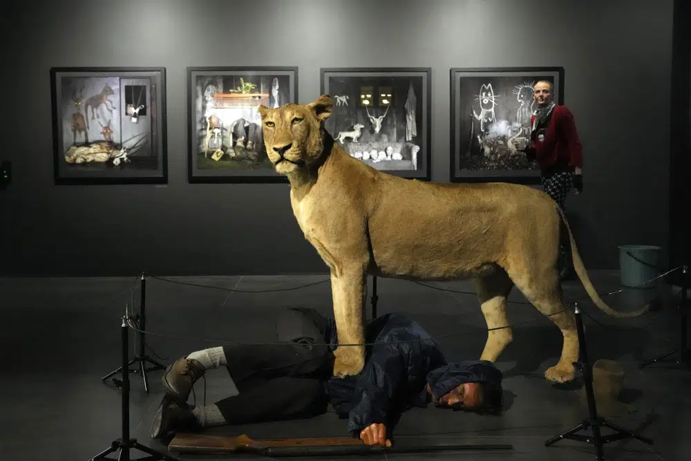 Renowned artist confronts destruction of African wildlife