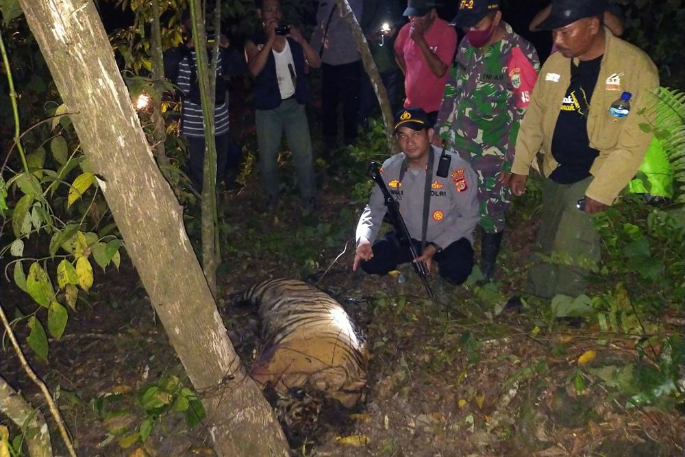 Illegal poaching increases in Myagdi