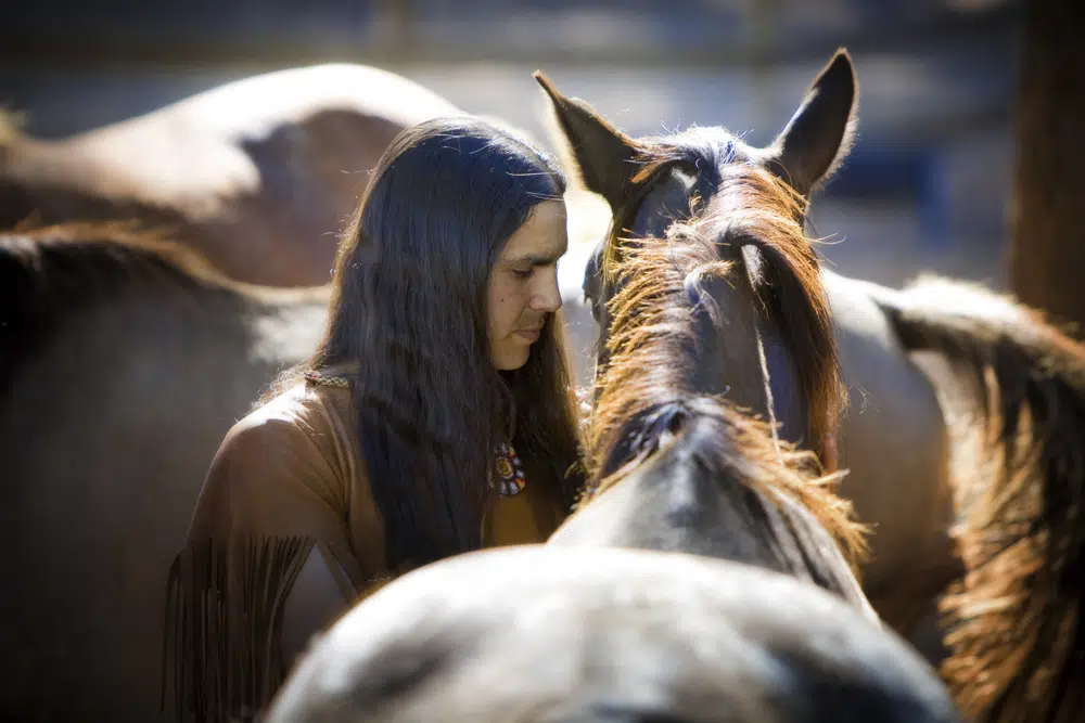 Horses came to American West by early 1600s