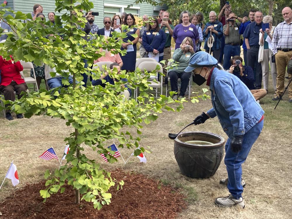 Hiroshima bombing recalled in “peace trees” campaign