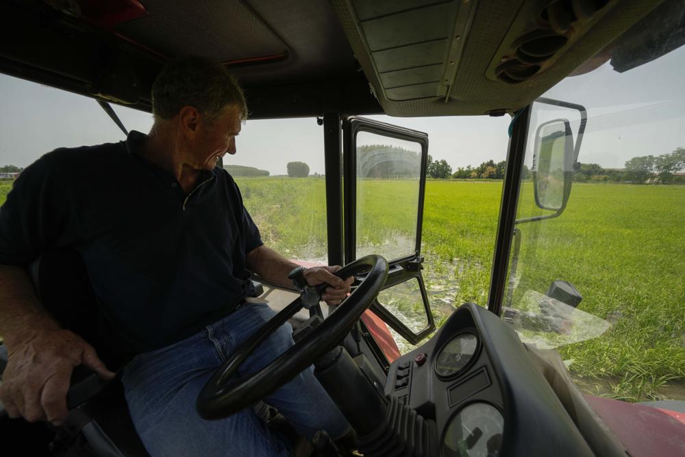 Rice fields dry up as Italy’s drought lingers on