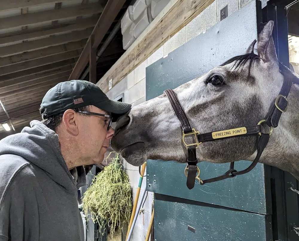 Trainers grief over euthanized horses