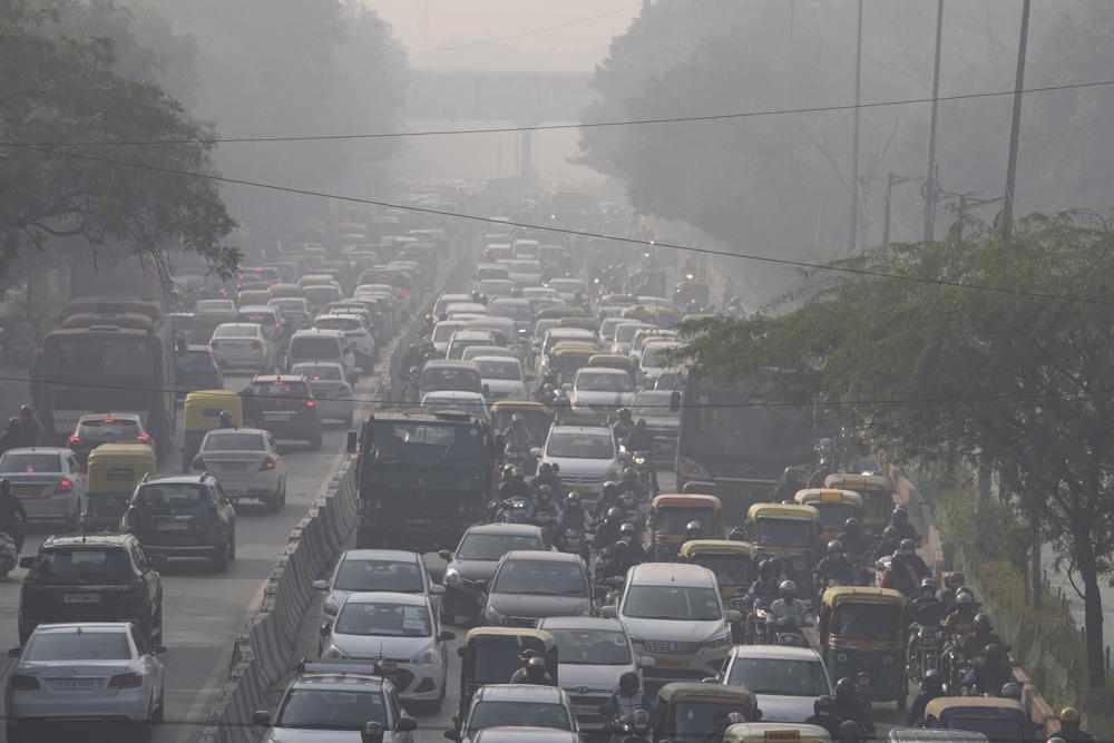 Schools, plants close as Indian capital is smothered by smog