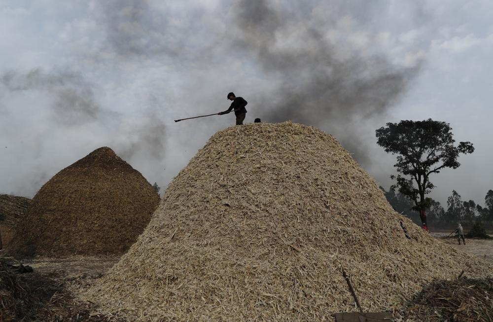 India curbs sugar exports to ensure supply, stabilize price