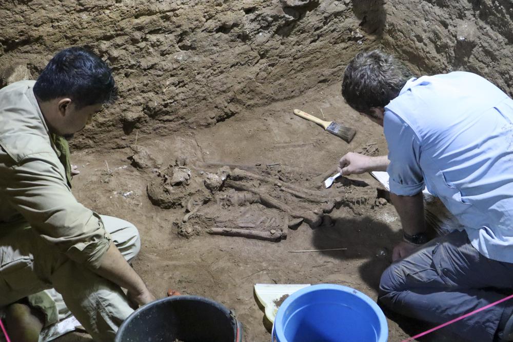 Stone Age skeleton may show oldest amputation