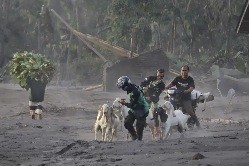 Indonesia’s Mt. Semeru eruption buries homes, damages bridge