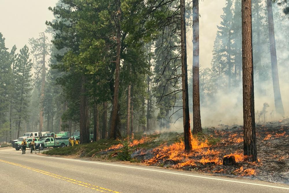 California firefighters gain against Yosemite wildfire