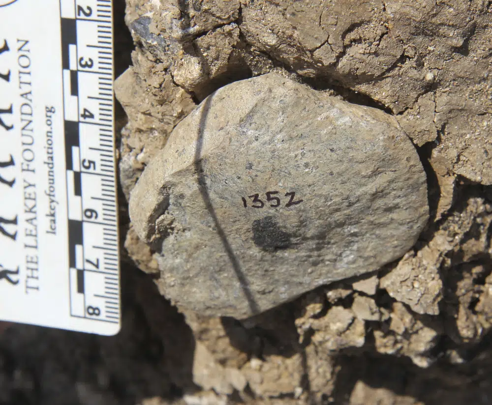 Oldest stone tools found in Kenya