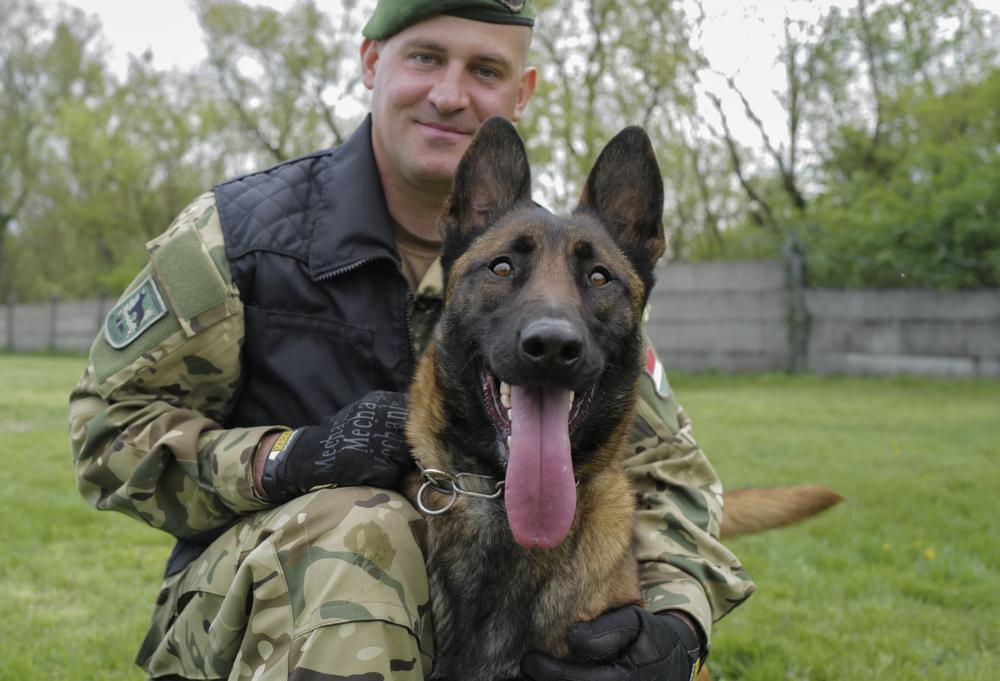 Hungary’s military finds mission in life for abused dog