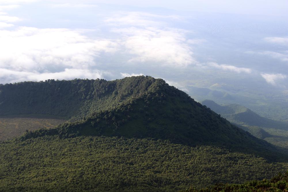 Oil block auction in DRC punctures Africa’s climate goals