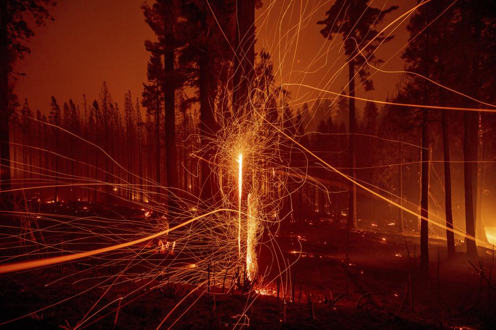 Fire engulfs Kanchanjungha Conservation Area