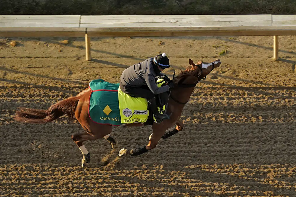 19 horses in 149th Kentucky Derby