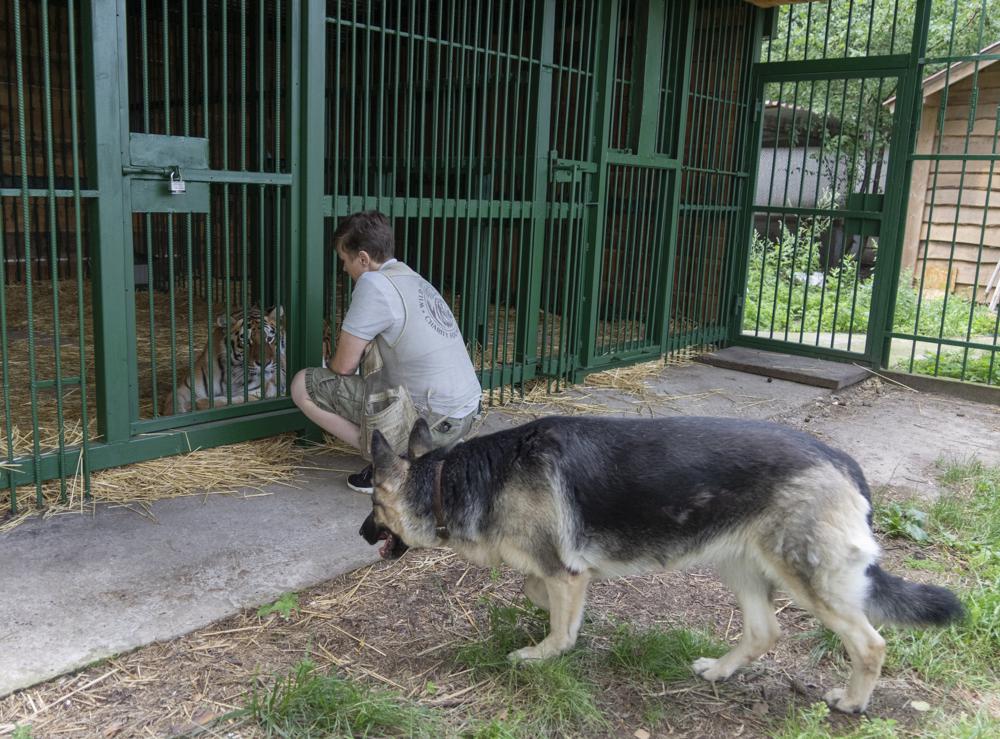 Ukrainian risks her life to rescue wild animals from war