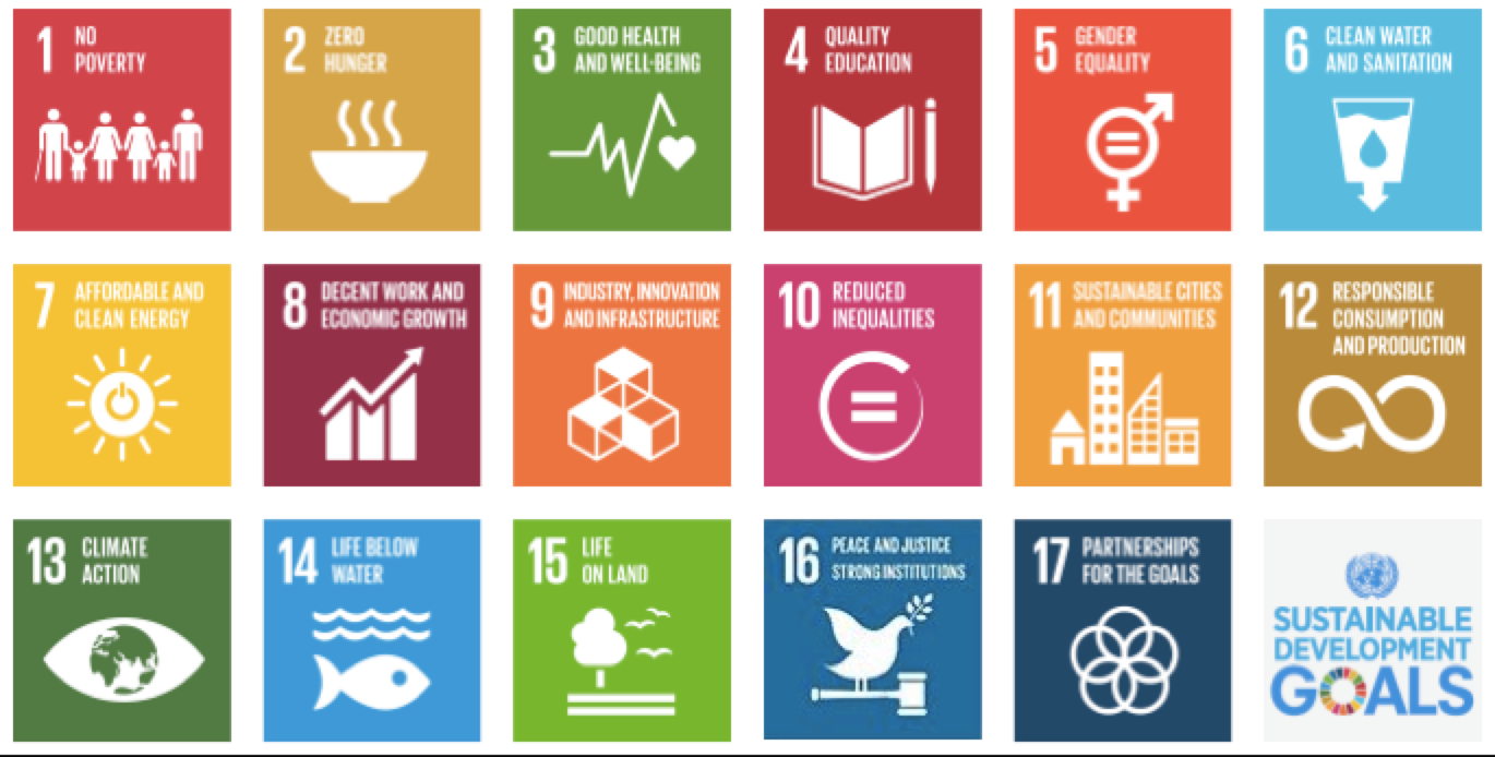 Localization of Sustainable Development Goals in Nepalgunj