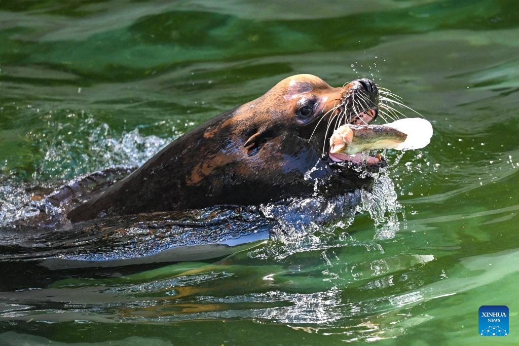 In pics: Animals seen amid heatwave at zoo North Macedonia