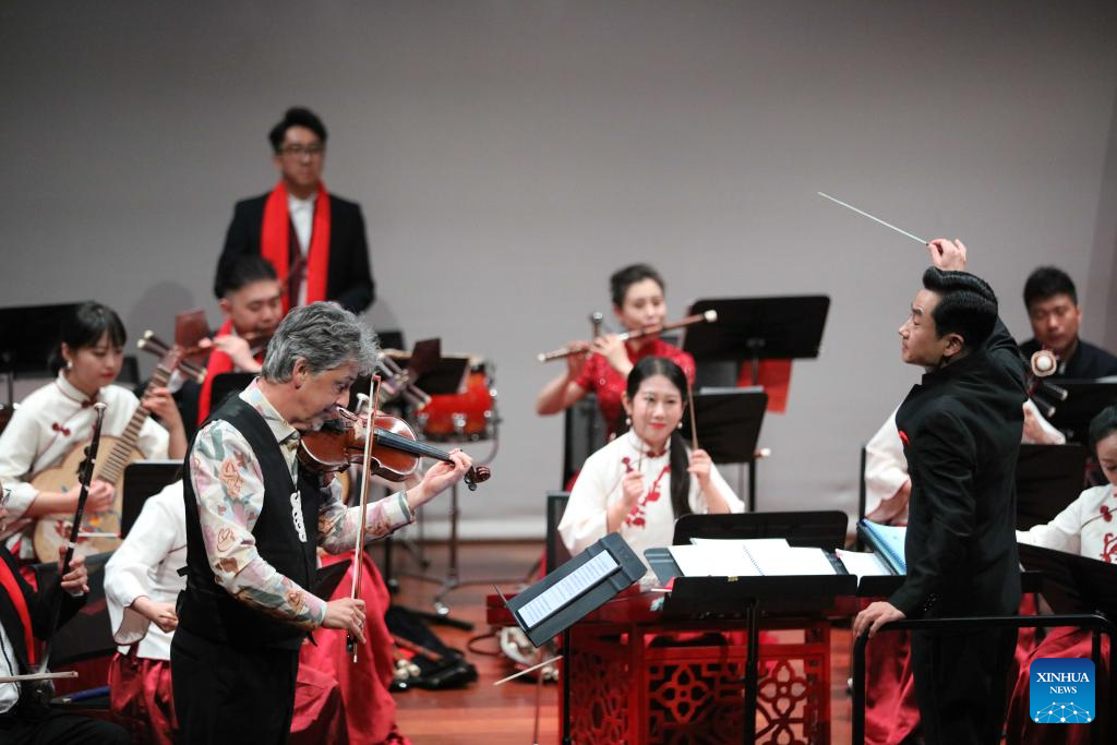 Traditional Chinese Music Concert in Christchurch