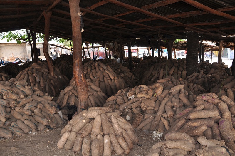 Farmers are shocked after getting a good price for yam