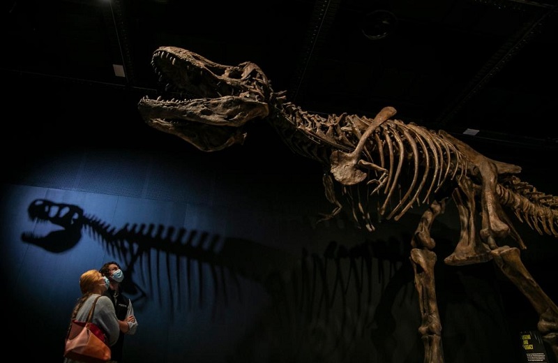 People visit Australian Museum in Sydney