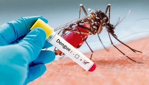 6 people die due to dengue infection