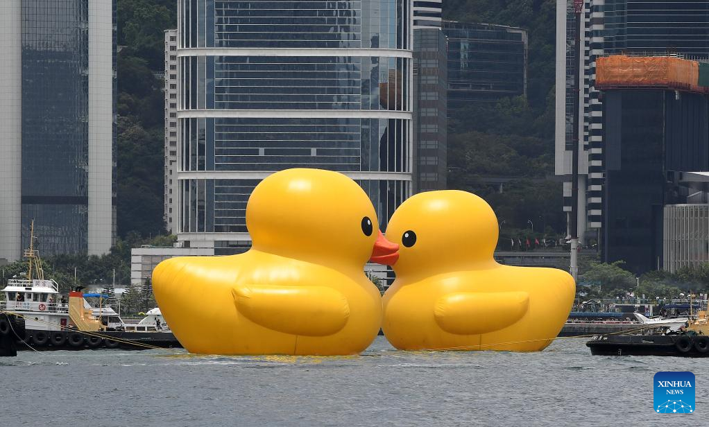 HK welcomes giant rubber ducks after 10 years