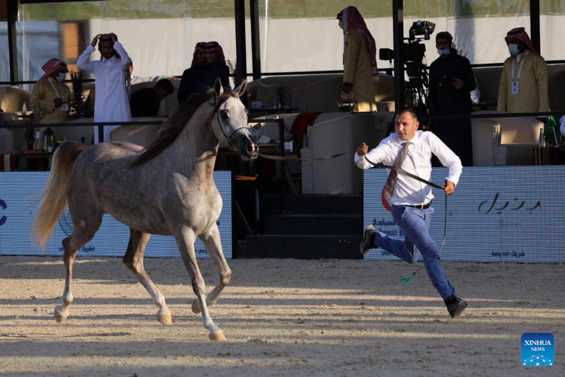 Highlights of Saudi Arabian Horses Festival