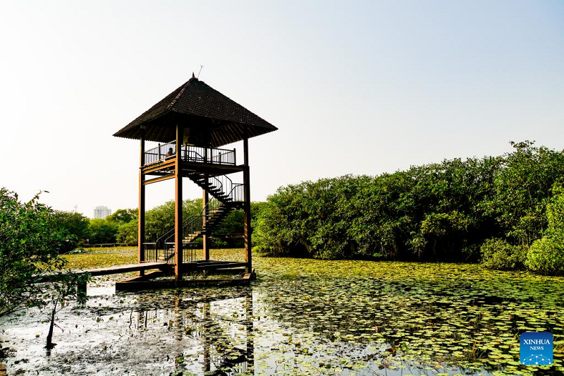 View of Beddagana Wetland Park in Sri Lanka