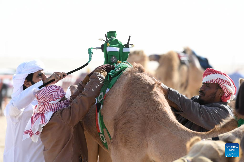 20th Int’l Camel Racing Championship held in Kuwait