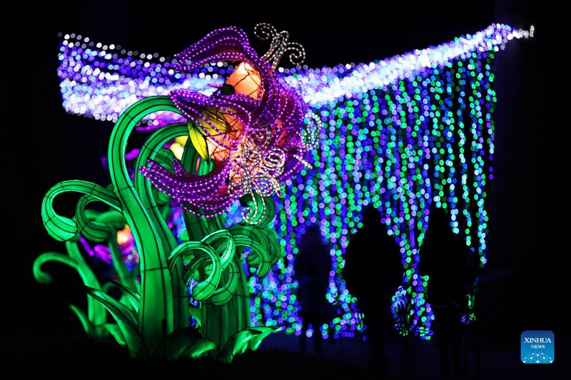 Light festival held at Thoiry zoo near Paris