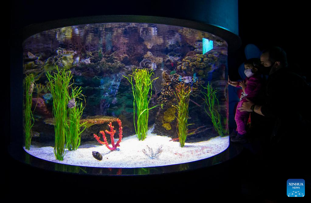 Ripley’s Aquarium of Canada draws families to celebrate Family Day