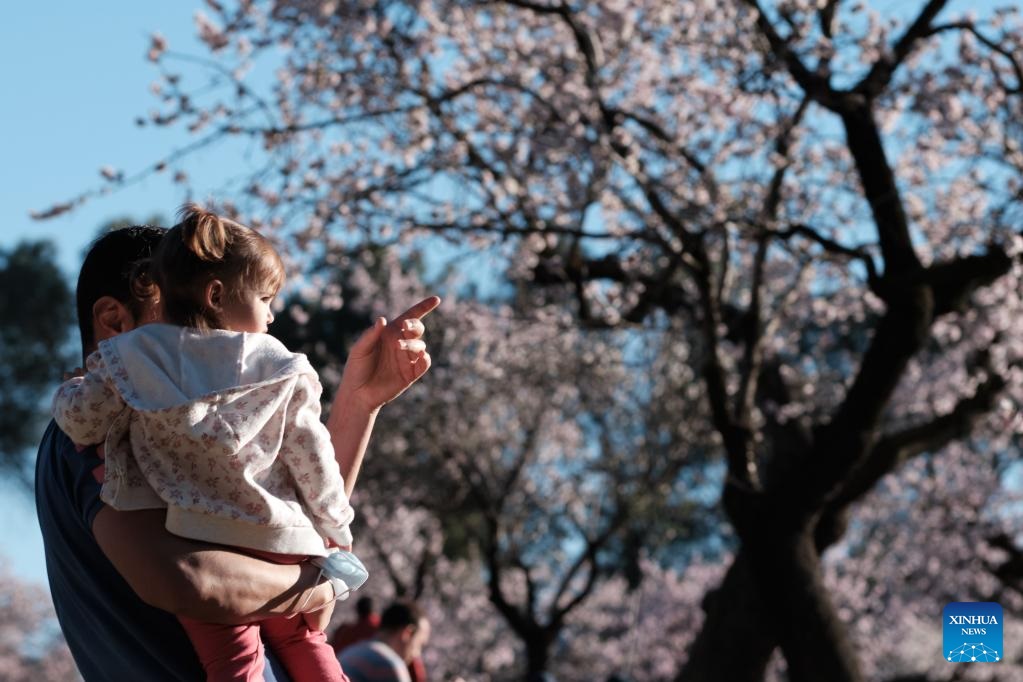 People enjoy spring blooms in Madrid