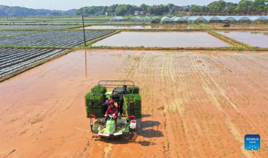 China: Spring farming in full swing