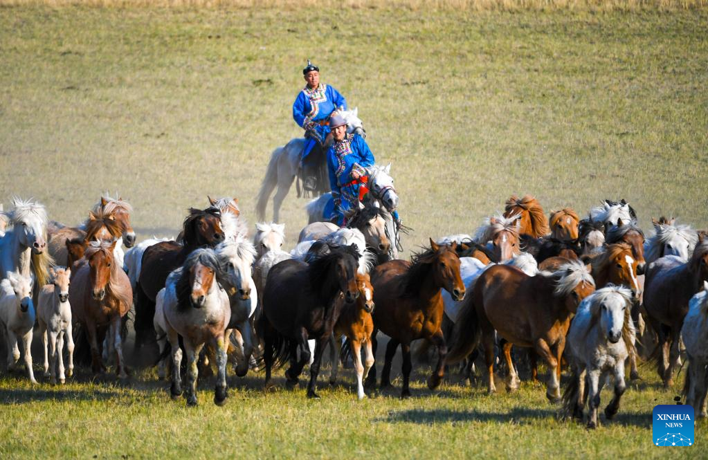 In pics: Herdsmen train horses in Inner Mongolia