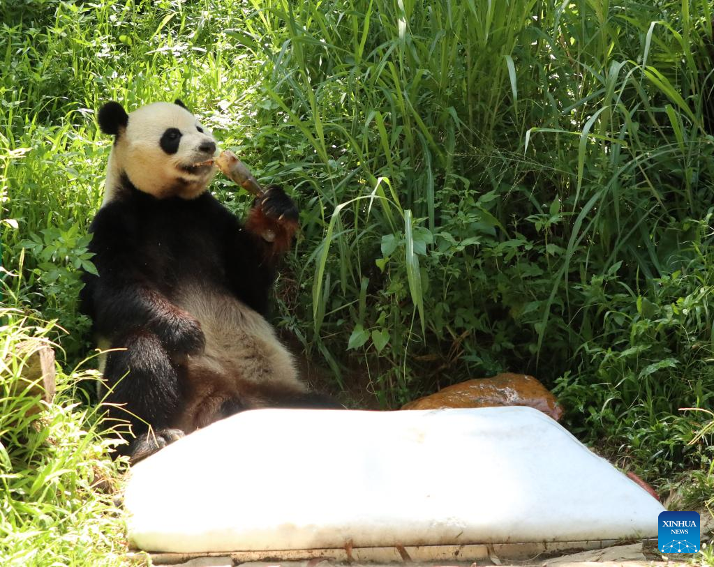 Chimelong Safari Park in Guangdong