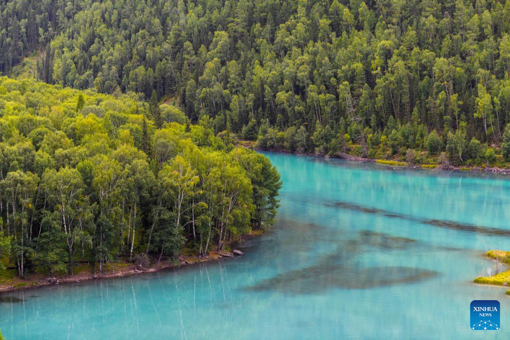 Autumn scenery of Kanas scenic area in China