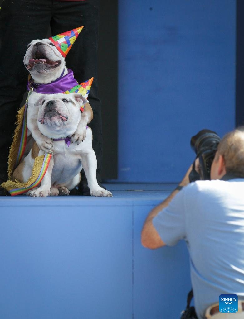 In Pics: Pacific National Exhibition Fair