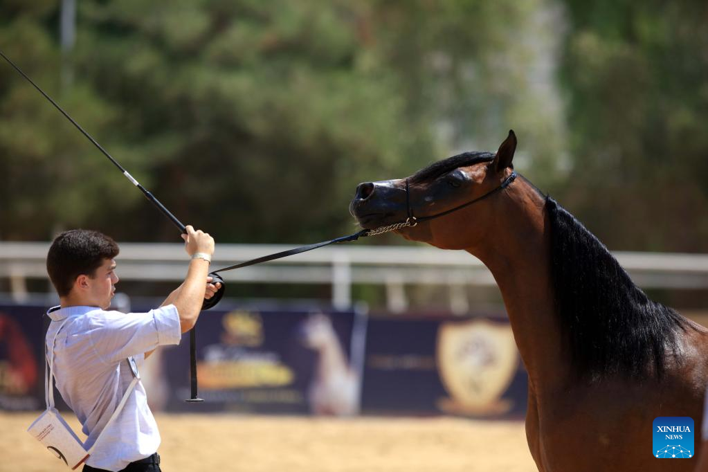 Horse competition held in Jordan